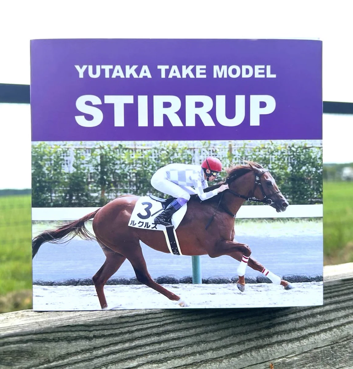 日胆サドラー@北の馬具屋🐎 on X: 