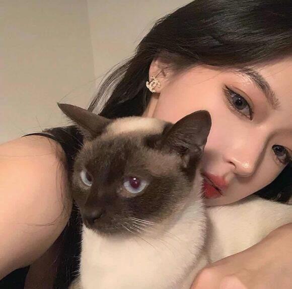AmeliaMerheb's tweet photo. 👑 🍬 💐 🌐 Blended bitters from barks, drops dropping dashes in bitter bitters. https://t.co/ZGJqsm2nxY