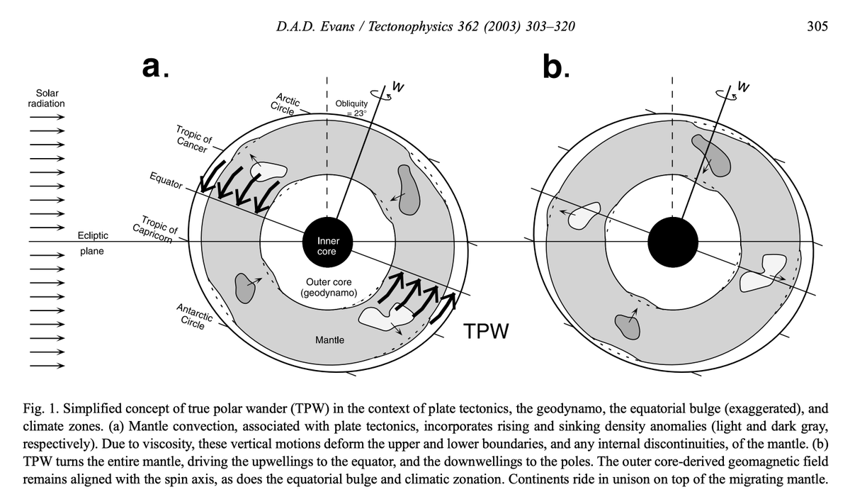 nobulart's tweet photo. David Evans (2001) presented a general model for true polar wander in the context of supercontinents and mantle convection. The core idea is that old supercontinents shield their underlying mesosphere from subduction cooling, establishing a prolate axis of mantle upwelling complementary to the encircling downwelling girdle. The upwelling axis is rotationally unstable; TPW drives it to the equator, and the supercontinent fragments. The cycle repeats every ~500 Myr as the successor supercontinent inherits the geodynamic legacy.

Evans ties this to the paleomagnetic record. Laurentia's oscillatory paleolatitude shifts (1.2–0.9 Ga) are interpreted as rapid TPW within the relict subduction girdle from Nuna. Gondwana's assembly shows the same oscillatory signal. By 800 Ma, mature Rodinia stabilised its equatorial position and disaggregated shortly after. The model also predicts little substantial TPW since Pangea's breakup, possibly because the Tethys–Indian Ocean system has stabilised the rotation axis.

Evans, D.A.D. (2003) "True polar wander and supercontinents." Tectonophysics, 362(1–4):303–320. https://t.co/Aul9trBtVH