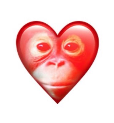 shrekovna's tweet photo. #NewProfilePic https://t.co/3SkbkZojVx