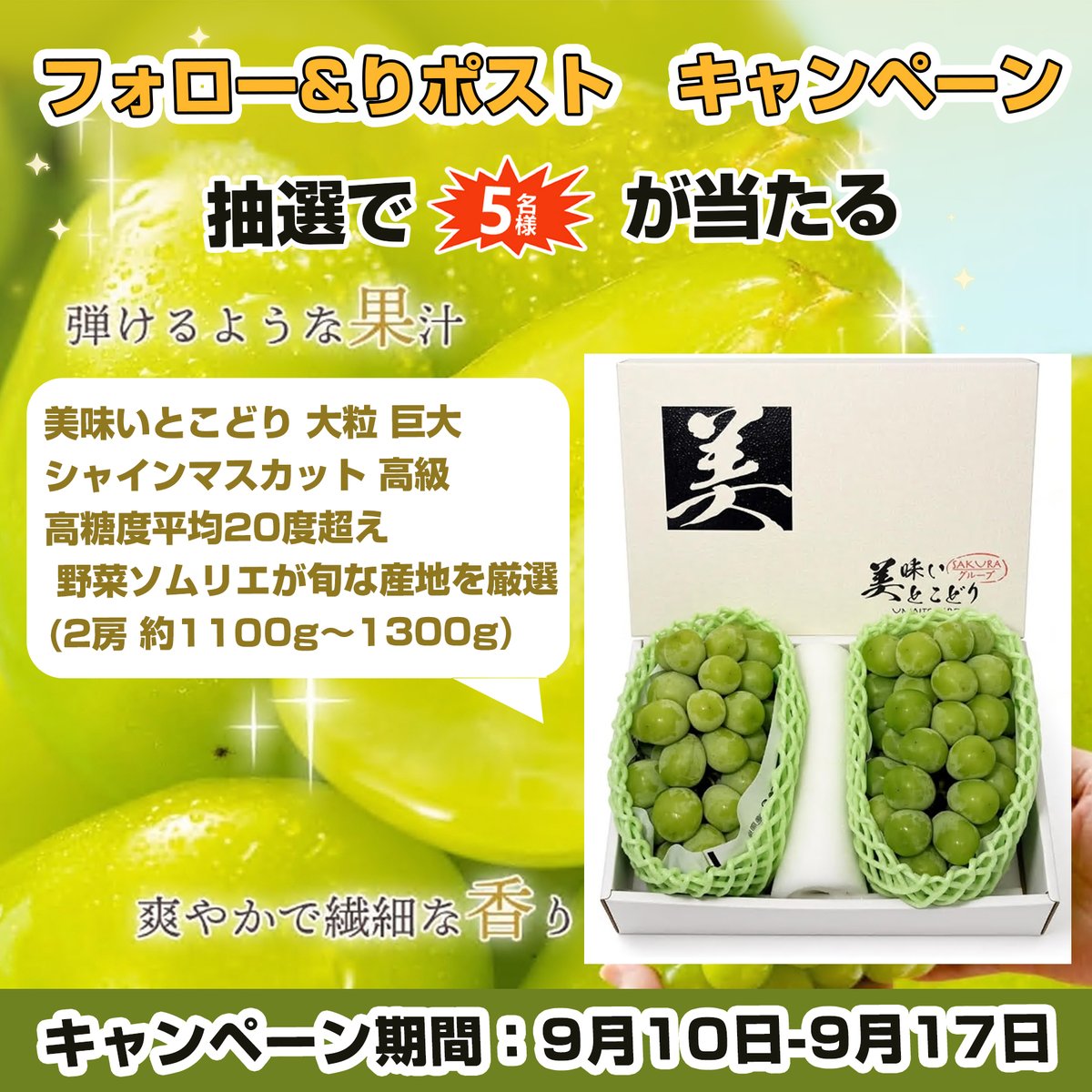 papiup0728's tweet photo. \\#プレゼント🍇キャンペン//

🍇美味いとこどり 大粒 巨大 シャインマスカット 高級 高糖度平均20度超え 野菜ソムリエが旬な産地を厳選 (2房 約1100g～1300g)

#抽選で 5⃣名様にプレゼント ‼️

本日　5⃣日目

🍇応募方法
①@papiup0728をフォロー 
②この投稿をリツイー

締切:9・17 https://t.co/xceSnOqmHU