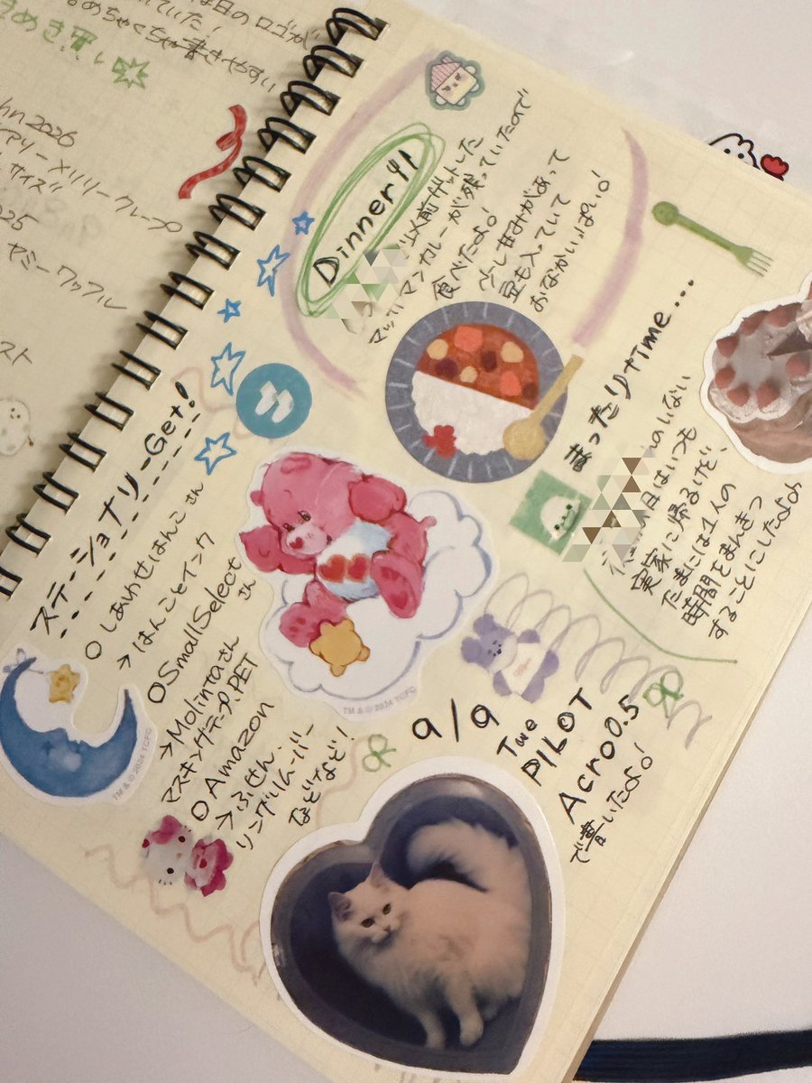 zo_zo_pan's tweet photo. 日記を横に書いている方がいて真似したら可愛くなった！
お昼のぐちゃオムライス
味は美味しい https://t.co/18bkBi2vo3