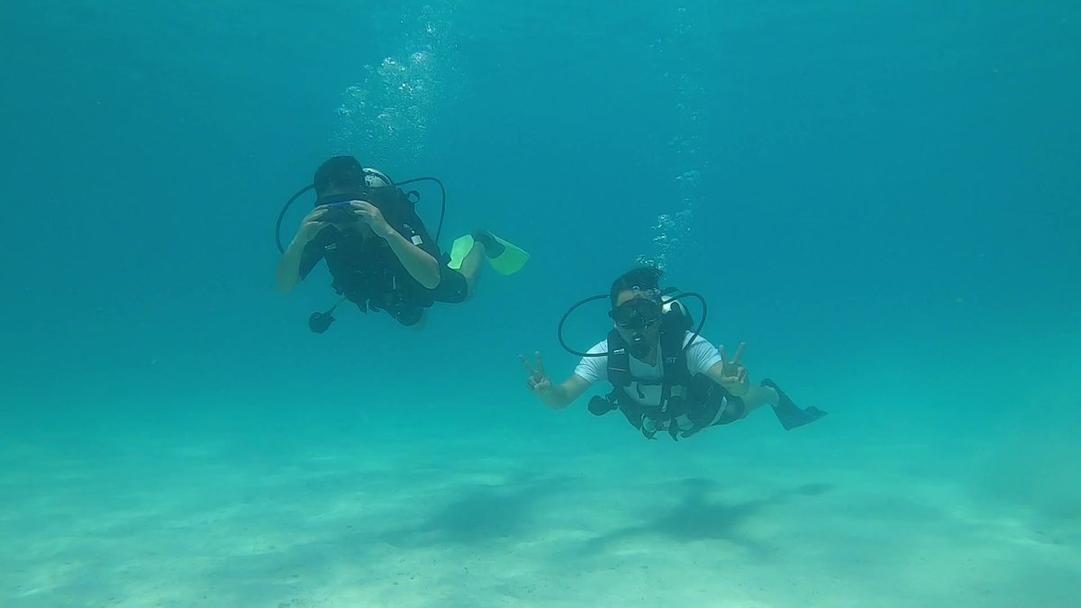 MarceloWoodend's tweet photo. Log dive 
Perhentian Island 12. 08. 2023 https://t.co/IRO2IHq19Z