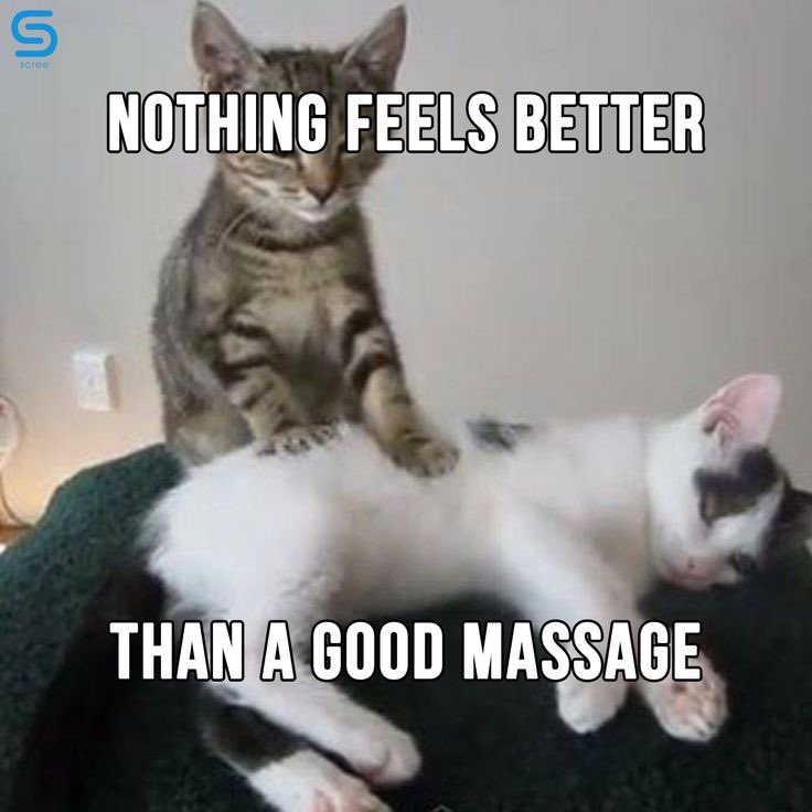 alice_masseuse's tweet photo. #accupressurepen #accupuncturepen #electrodepen #massagepen #massagememes #painrelief #electronicmassagepen #energypen #healthpen #acupressure #pain #painrelief #massage #pen #instant #relief #massagejokes #cordless #easy #shoulder #knee #ankle #elbow #face #massagefunny https://t.co/Kz3AeN5N2o