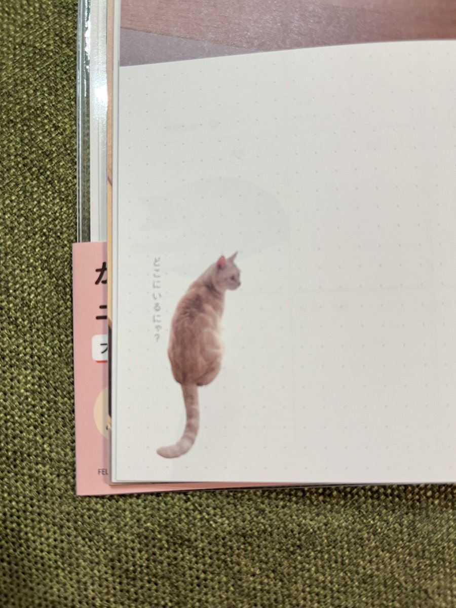 htk_kh's tweet photo. 今年もこてほたが掲載されました👏
こてちゃん2枚も！！ https://t.co/ewO4H9l37J