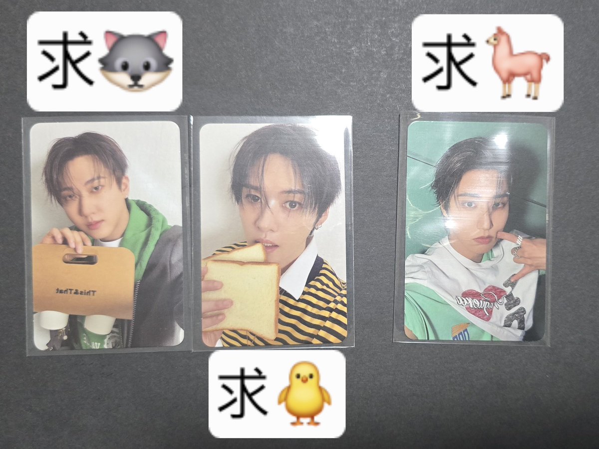 ftxft's tweet photo. StrayKids THIS＆THAT ＆ver トレカ交換

譲 リノ🐰 チャンビン🐖🐇 ハン🐿️
求 ヒョンジン🦙 フィリックス🐥

郵送での交換です。
ご連絡お待ちしております🙇‍♀️

スキズ交換 https://t.co/Qj36932TYw
