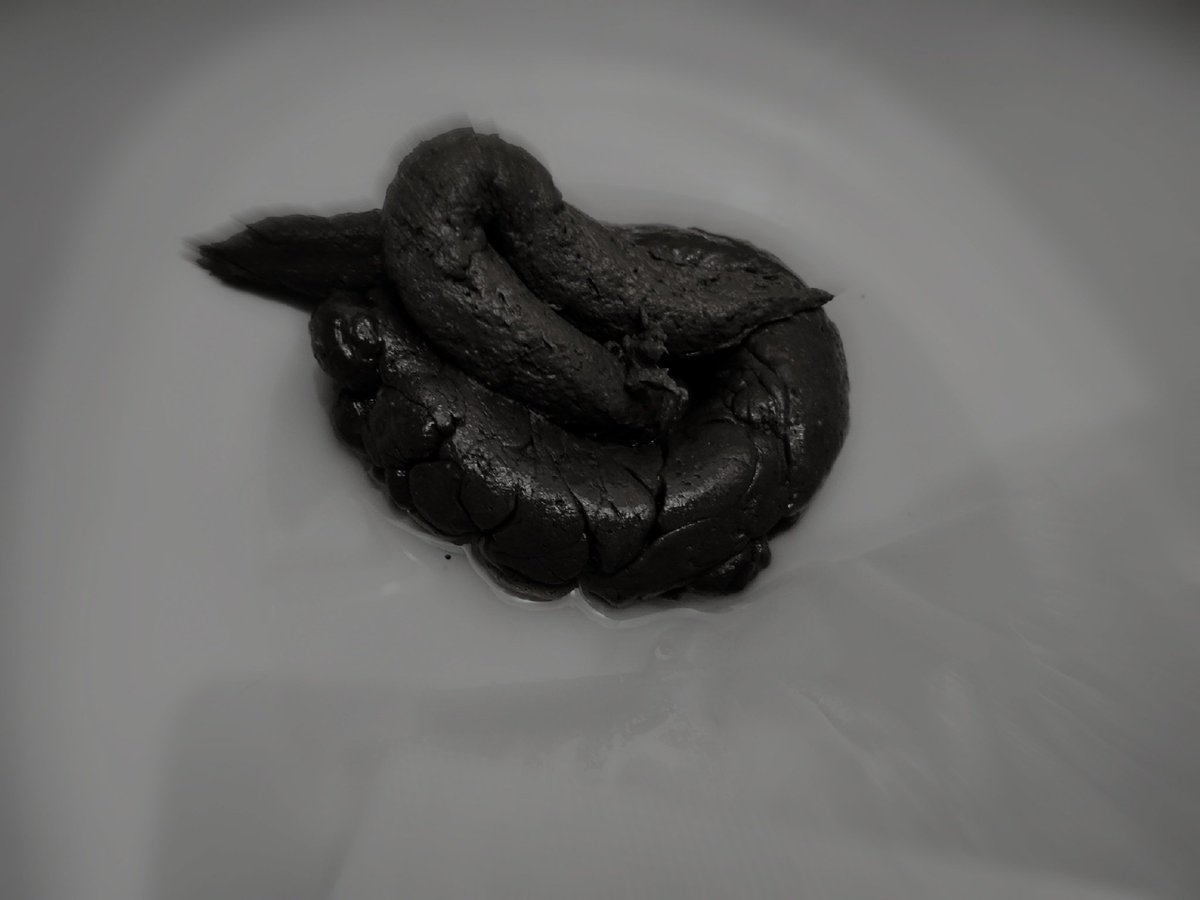 BWNOMeister's tweet photo. Ich will einen neuen Toilettensklaven, der meine Fäkalien aus meinem Anus isst. #sklave #scat #toilette #sub #meister #loser #sub https://t.co/H672UB3ocl