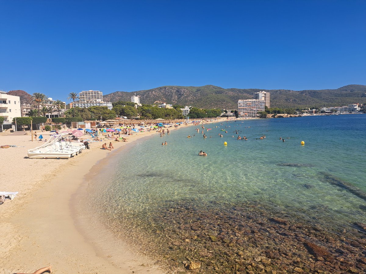 hsmtips's tweet photo. Morning team ☀️ 

Havnt posted any FREE bets for a while been in Mallorca X wasn't working not sure why. Telegram was fine so everything was running normally back now !!

Will have some FREE bets now https://t.co/fqvB8vOlzb