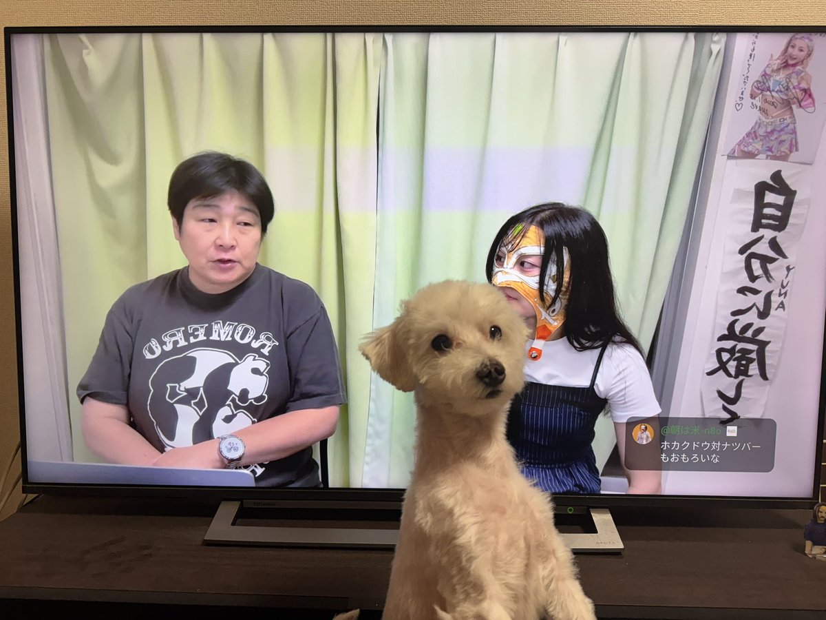 LUSH_OJISAN's tweet photo. ニュースの波

愛犬ぽん太に邪魔されてます。

#wavepro
#GAMI
#炎華 https://t.co/BtGGfwxMMz