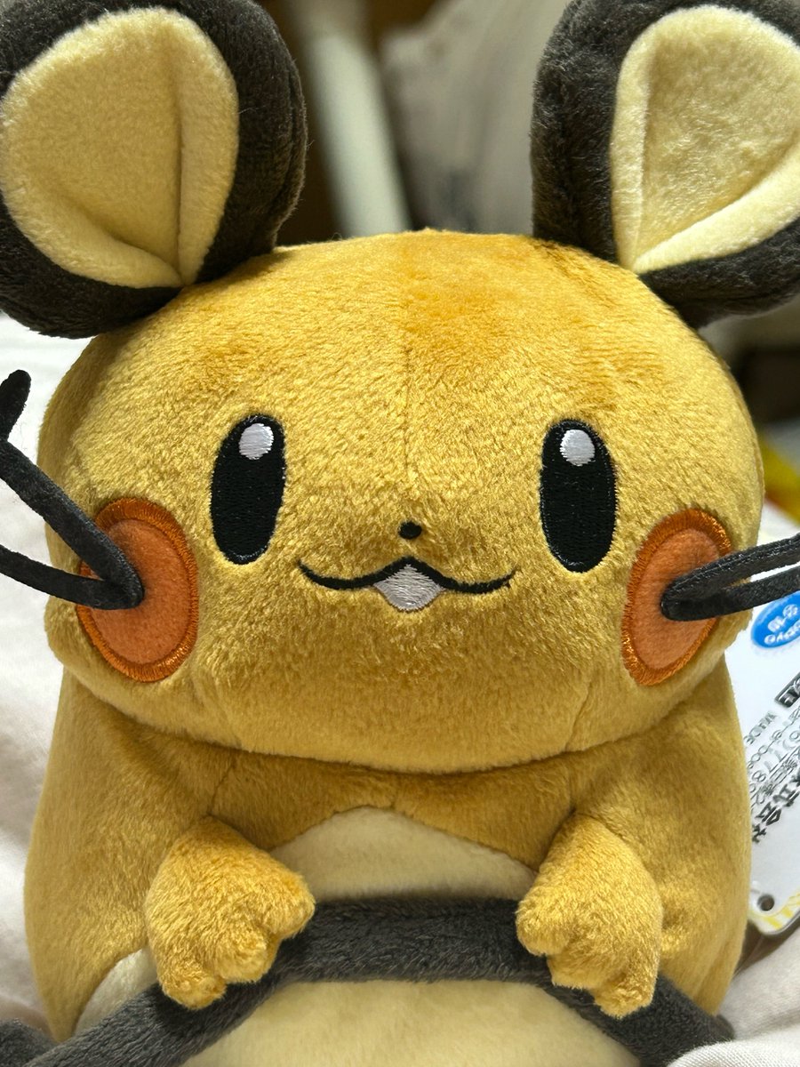 Charon_Nyx22's tweet photo. 見てこの差

>o‘ω‘o<                        >o‘ᾥ’ o< https://t.co/v5ciB4D7qx