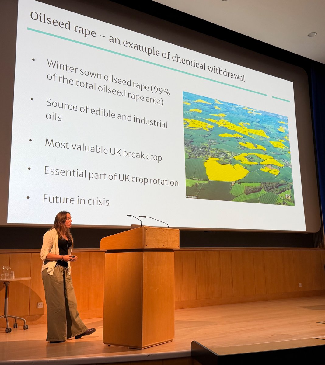 KamounLab's tweet photo. A fantastic @JohnInnesCentre session at #BSPP26, showcasing an impressive range of pathosystems across wheat, legumes and brassicas 🌾🫘🥬
#PPATH2026 #PlantHealth https://t.co/mz6LDM7Lgq