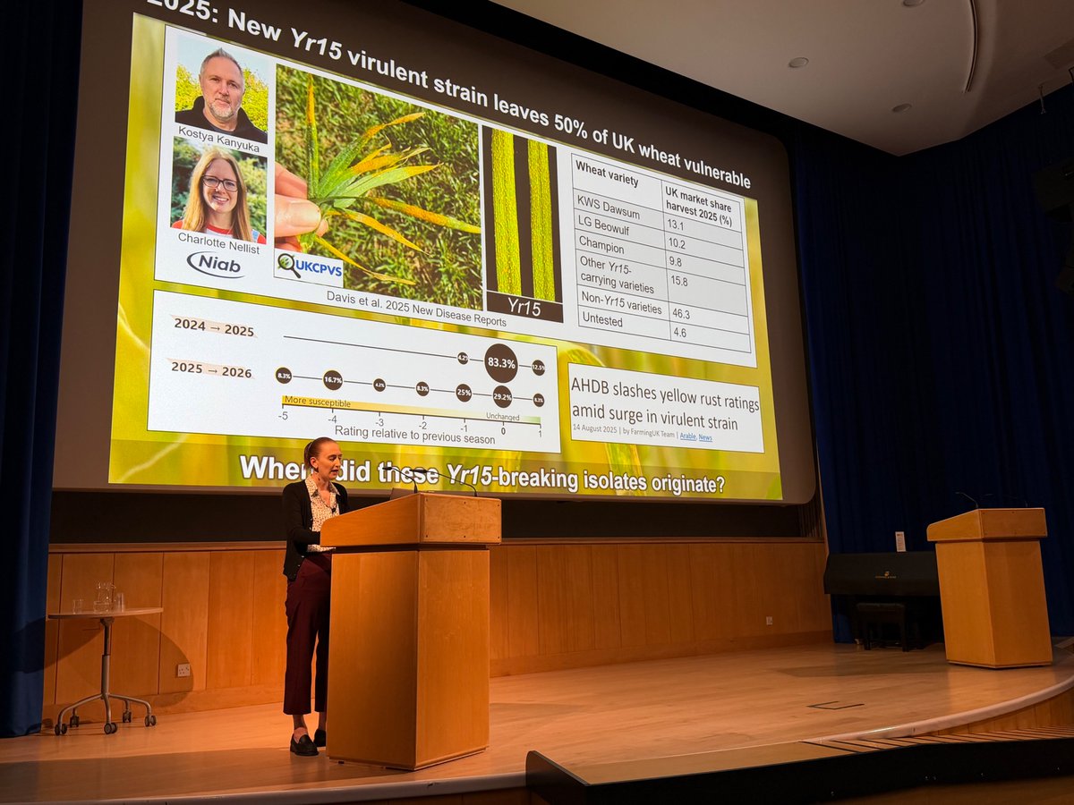 KamounLab's tweet photo. A fantastic @JohnInnesCentre session at #BSPP26, showcasing an impressive range of pathosystems across wheat, legumes and brassicas 🌾🫘🥬
#PPATH2026 #PlantHealth https://t.co/mz6LDM7Lgq