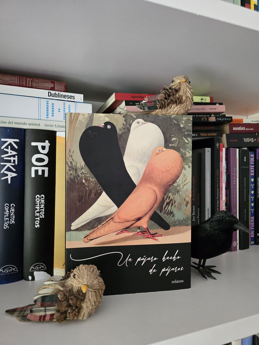 Caballero_Tinta's tweet photo. #unpájarohechodepájaros es una maravillosa antología de relatos de las voces que caminamos junto a @jjmunozrengel en la @_imaginadores. Maravillosa, porque era difícil reunir tanto talento en un solo tomo. Pero la literatura es la lengua de los imposibles. https://t.co/lmSZlvufE0 https://t.co/y4uz6EvRNf