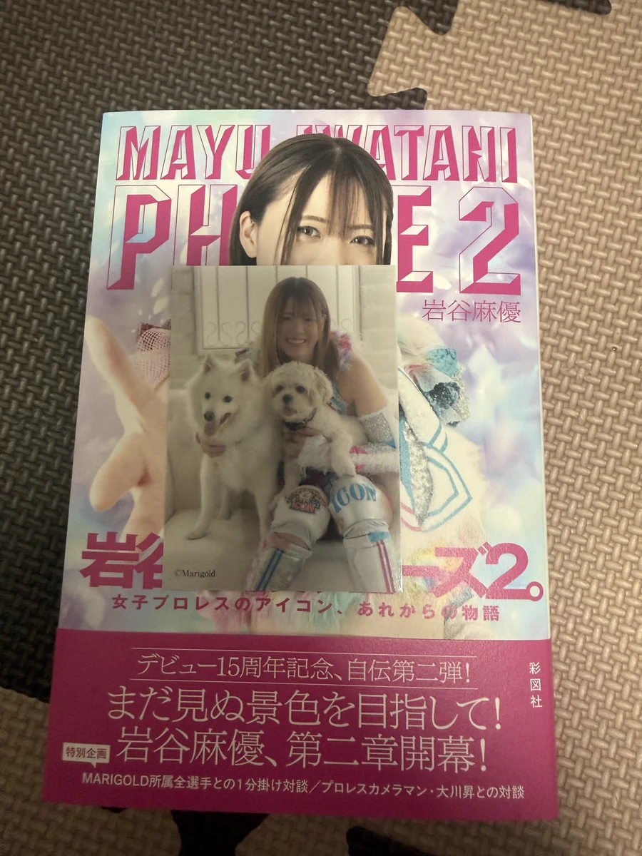 岩谷麻優　velvet 20枚限定カード adachics⭐✨最古の麻優ファン on X: 