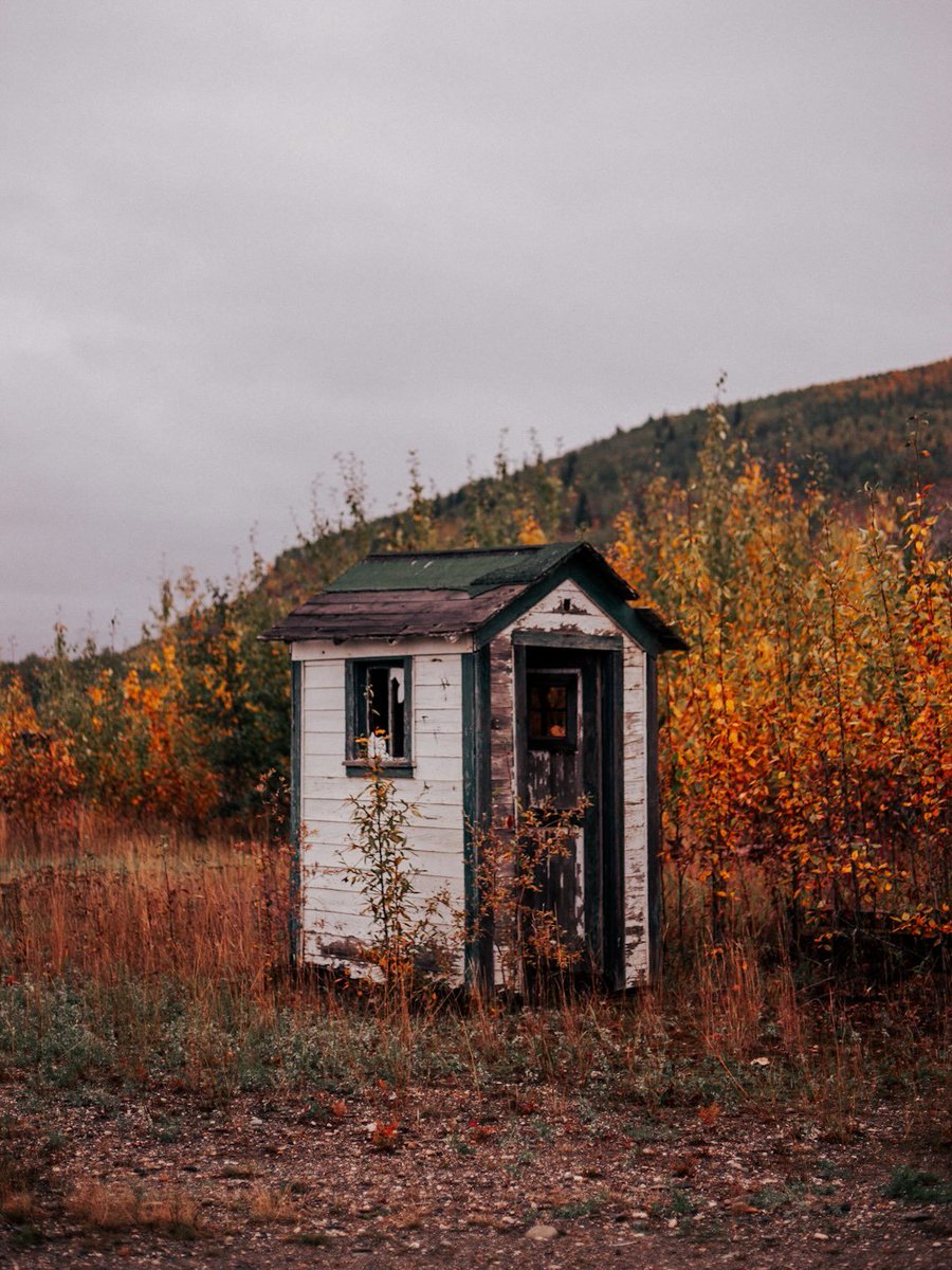 visualsofearth1's tweet photo. Alaska in the colors of autumn. 🍂 https://t.co/Q5kQbNzL3z