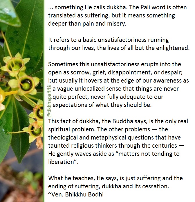 tikkhapanna's tweet photo. The Buddha starts the Four Noble Truths that sum up his message that life is inseparably tied to ...

#Buddhism #NobleTruths #suffering https://t.co/Qrbn4I1733