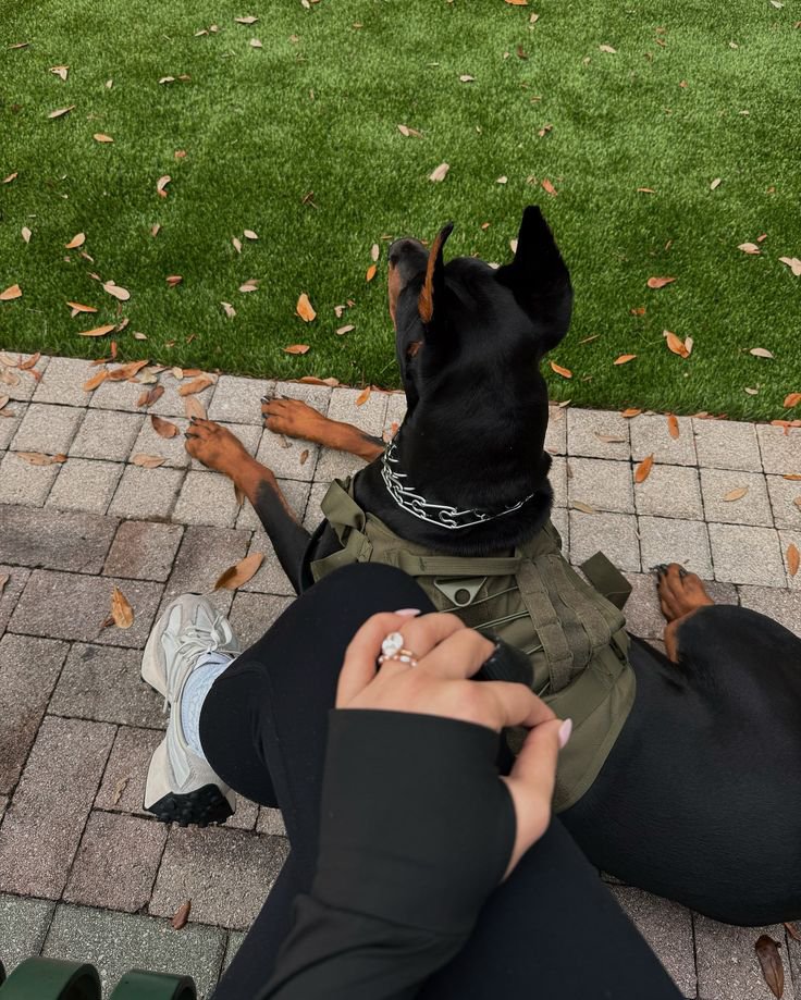 Sandrazh1t's tweet photo. Are You ready for my naughty 
Dogknotting videos 🐶🥹💦
Dm for more info 👇👇📩👇

https://t.co/epmzGiyB11

 #dogs #USA #Dogknotting #Zoocontent #spian #german https://t.co/kGlbLM5xmt