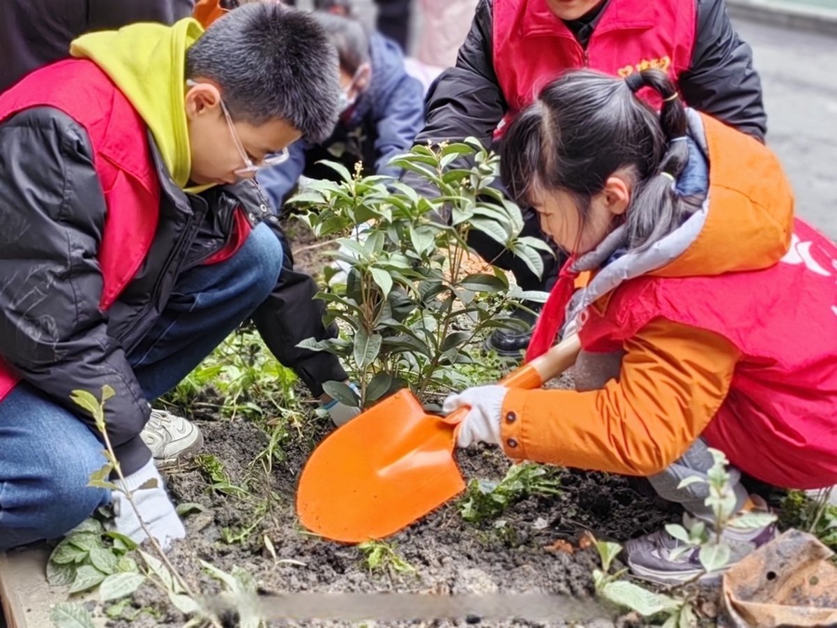 simpj807492's tweet photo. Just wrapped up a 2-day community garden clean-up with 15 lovely volunteers! We removed 20 bags of weeds u0026 planted 50 native saplings—feeling grateful to nurture our local green space  #VolunteerLife https://t.co/q3vbuLYRxh
