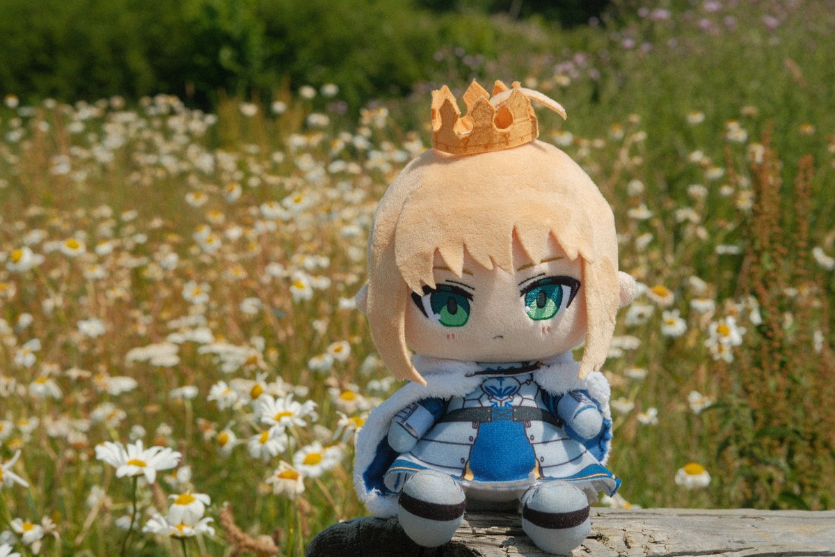 yorksoriginal's tweet photo. One of my favourite saber pictures I've taken, the background is so nice. https://t.co/Fc5lJbgd2P