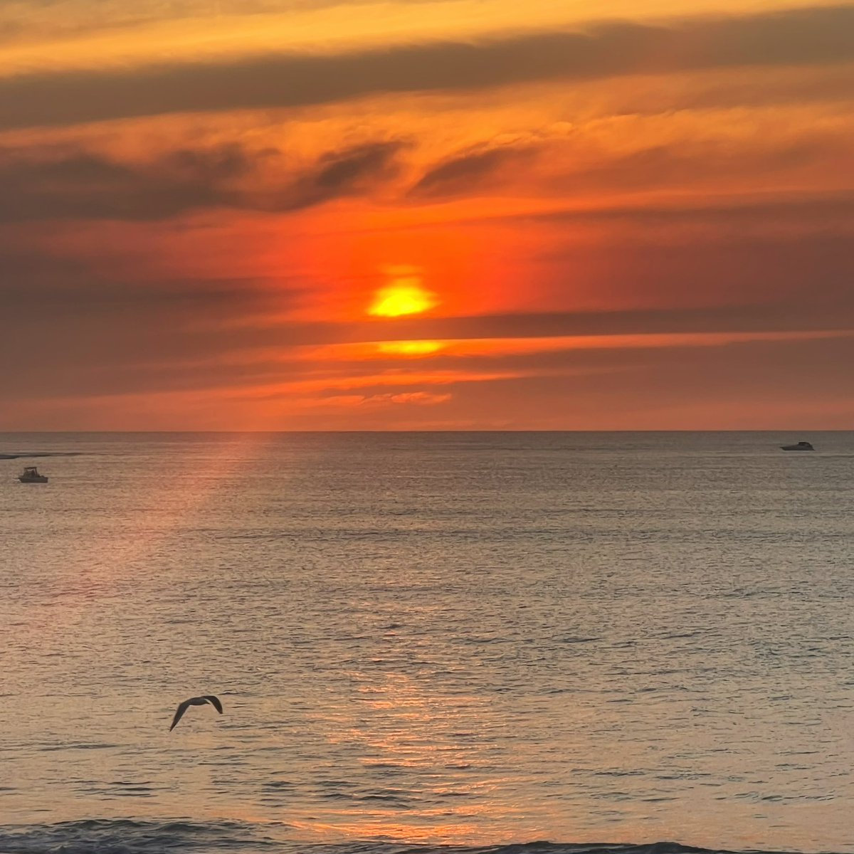 CoffeeDateBTS's tweet photo. Plenty of people headed to the beach to watch tonight's sunset. There was a bit of smoke around - likely due to prescribed burns - which contributed to the colours
#CoffeeDateWithBTS
#IntoTheSun
#ForeverWithBTS https://t.co/XFMp0Yfqzr