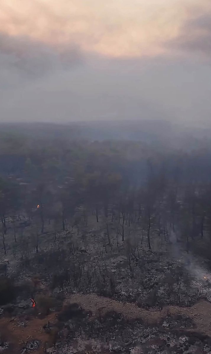 AliSere20's tweet photo. Yangın sönmedi. Yanacak yer kalmadı 😥🔥🌲
#AntalyaYangın #Aksu https://t.co/VYeps8Ivm4