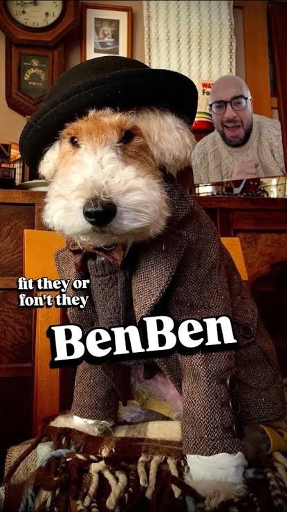 PeterVz01's tweet photo. @jpegslife $Benben 
Deal with it! https://t.co/m3zdRZZvSF
