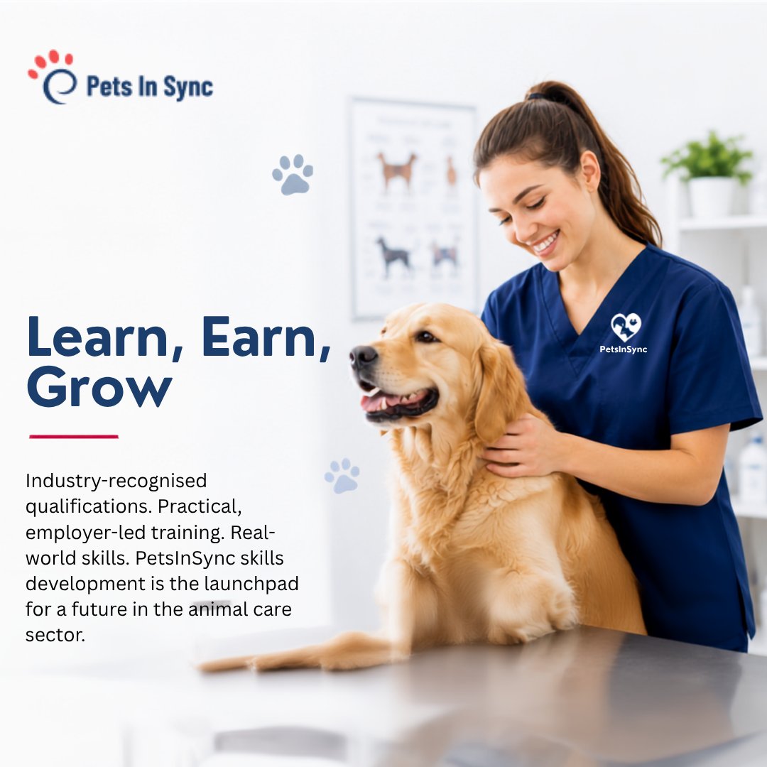 Petsinsync tweet picture