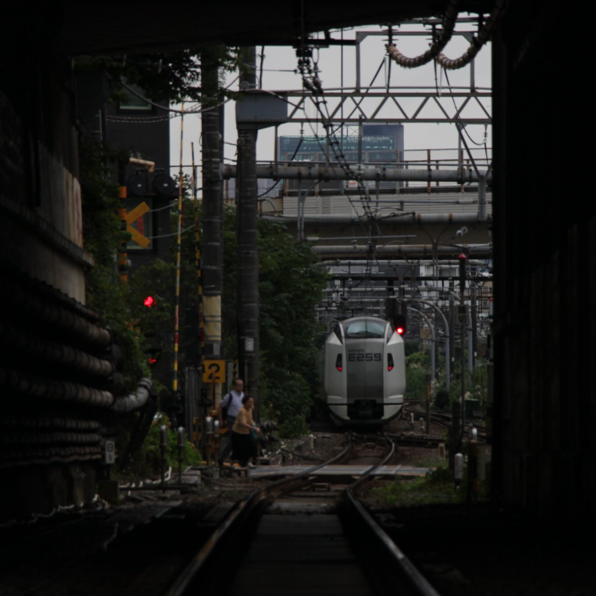 honokasekai's tweet photo. #yoyogi https://t.co/xQLGbtd1Qr