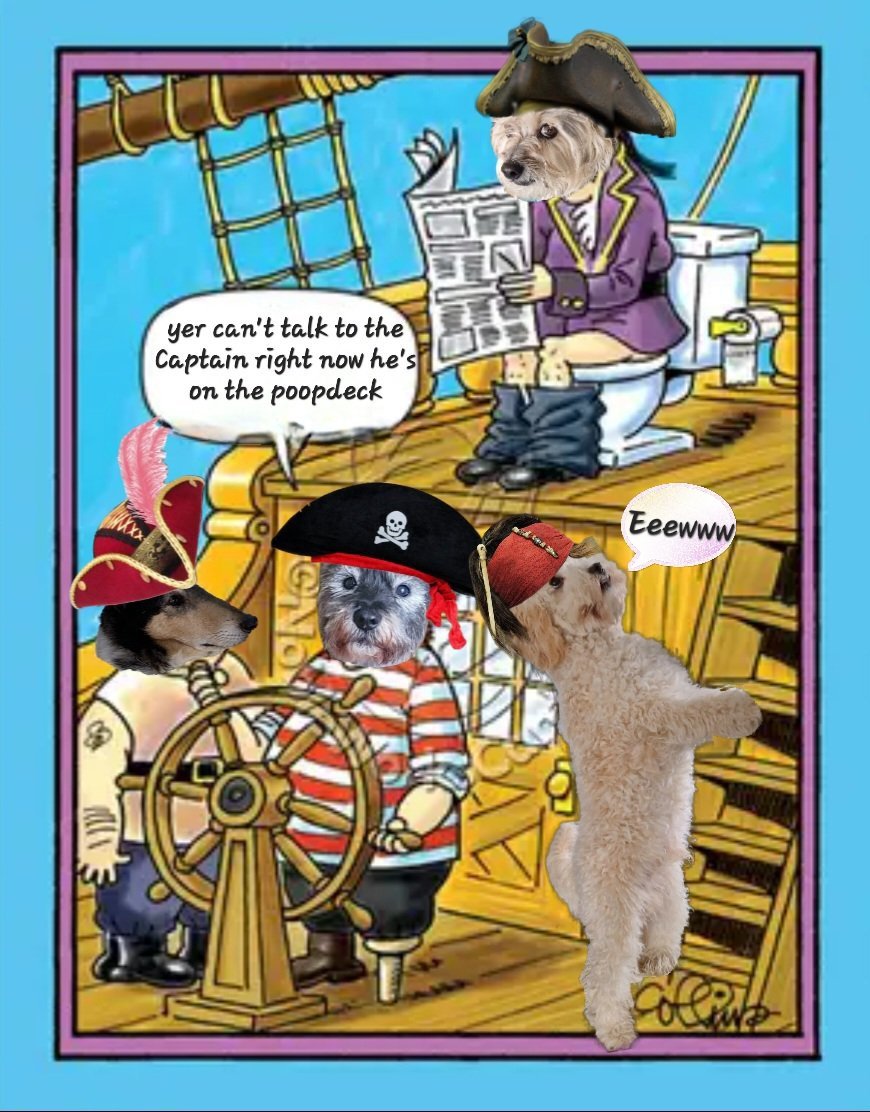 jennystape's tweet photo. Throwback Thursday to Rupes and Norm Pirates 🏴☠️⚓️⚔️🏴☠️😂😂😂😂
@Norman_Dillon1 #BovverBoys #BovverBoysForever #PirateFun #ZombieSquadPirateMonth #BestiesForever https://t.co/sXVgt6TLYh