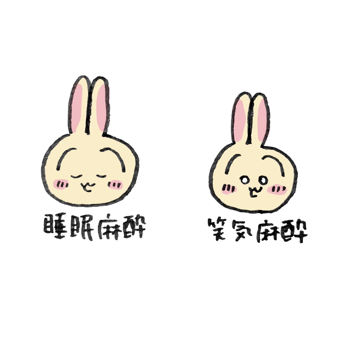 taibanchan's tweet photo. 麻酔の違い https://t.co/XKPKodzFad