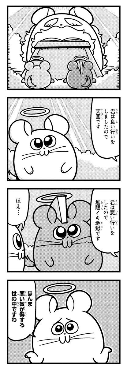 chinchilla_land's tweet photo. https://t.co/f0CQZz6cvO