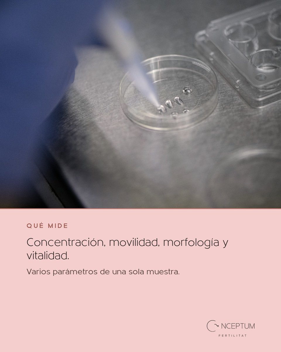 IConceptum's tweet photo. Un seminograma alterado no es un diagnóstico definitivo: mide concentración, movilidad, morfología y vitalidad de los espermatozoides en una sola muestra, y los resultados pueden variar en un mismo homb…

Pide tu primera visita en https://t.co/Z9jAwMkVen #Conceptum #Fertilidad https://t.co/vcEFf6X3eh