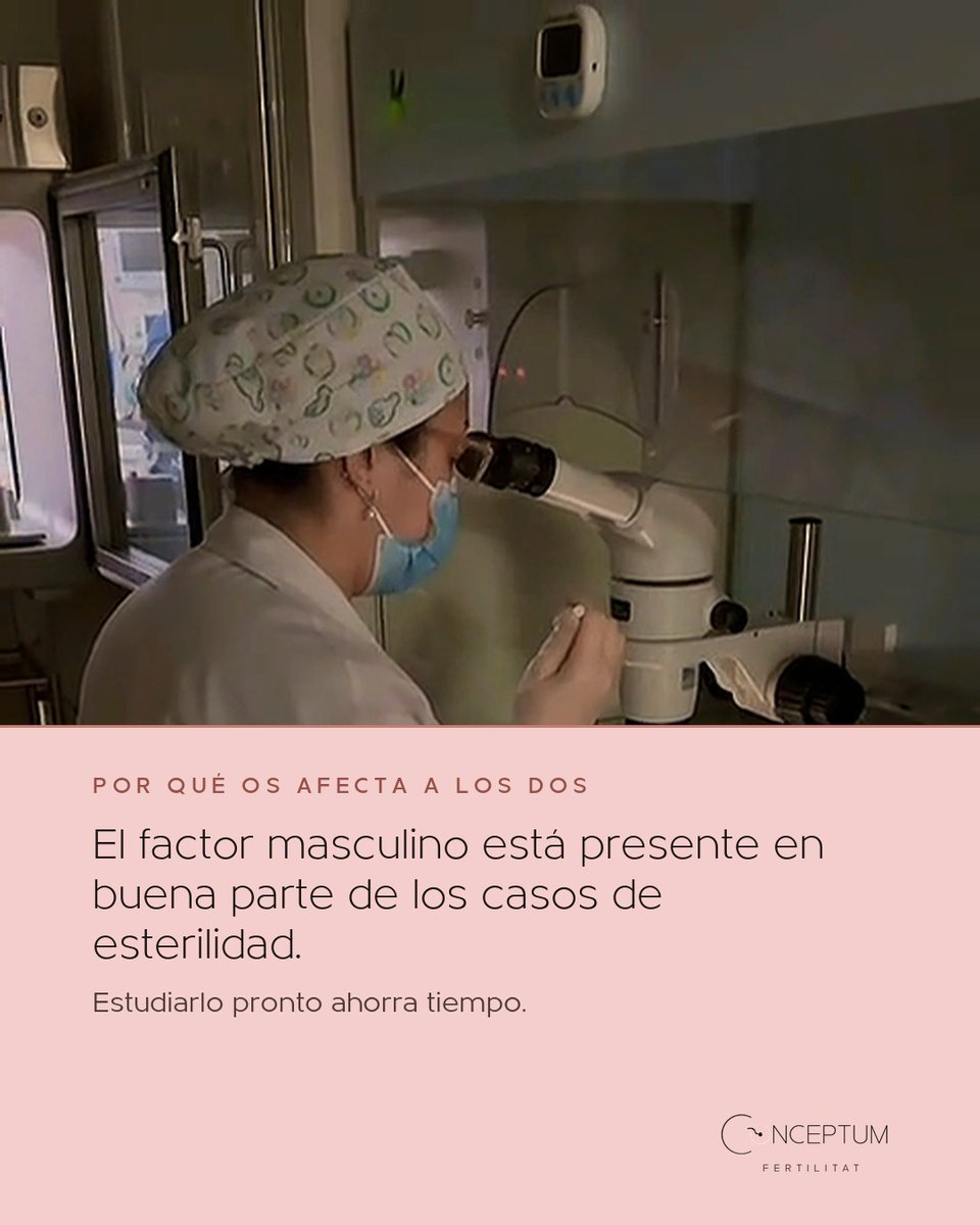 IConceptum's tweet photo. Un seminograma alterado no es un diagnóstico definitivo: mide concentración, movilidad, morfología y vitalidad de los espermatozoides en una sola muestra, y los resultados pueden variar en un mismo homb…

Pide tu primera visita en https://t.co/Z9jAwMkVen #Conceptum #Fertilidad https://t.co/vcEFf6X3eh
