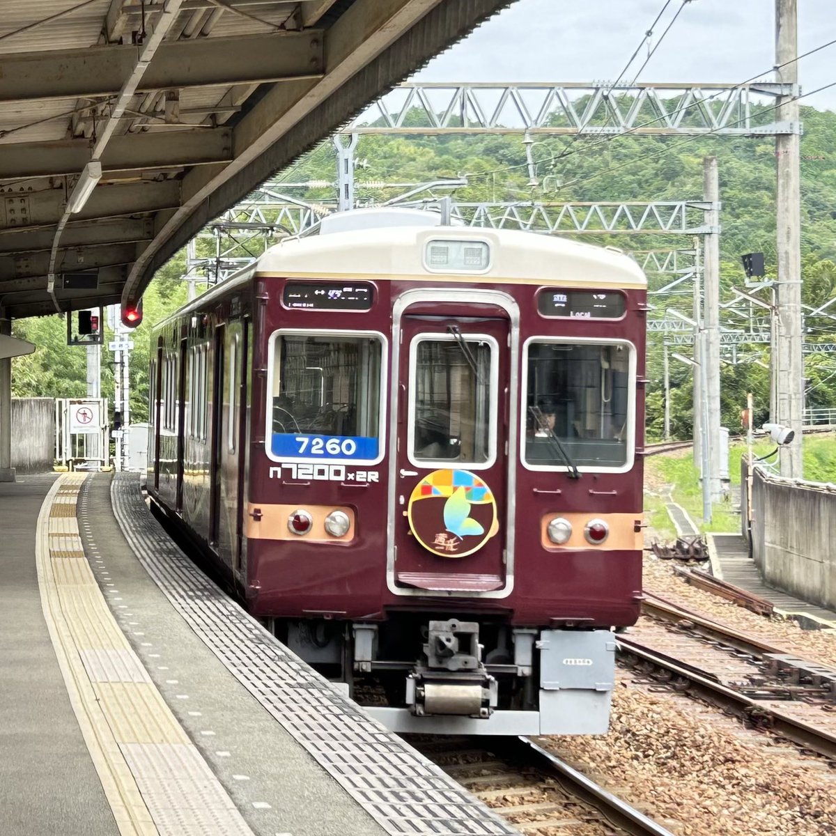 1259K_train's tweet photo. 能勢電鉄妙見線・日生線
・ワ普通日生中央1225レ 1757F
    ※折り返しワ普通川西能勢口1228レ
・ワ普通川西能勢口1226レ 7200F
・ワ普通日生中央1227レ 5136F

・ワ普通妙見口1299レ 7211F(藍彩)
・ワ普通山下1298レ 7210F(茜音) https://t.co/MYbFVSBU4T