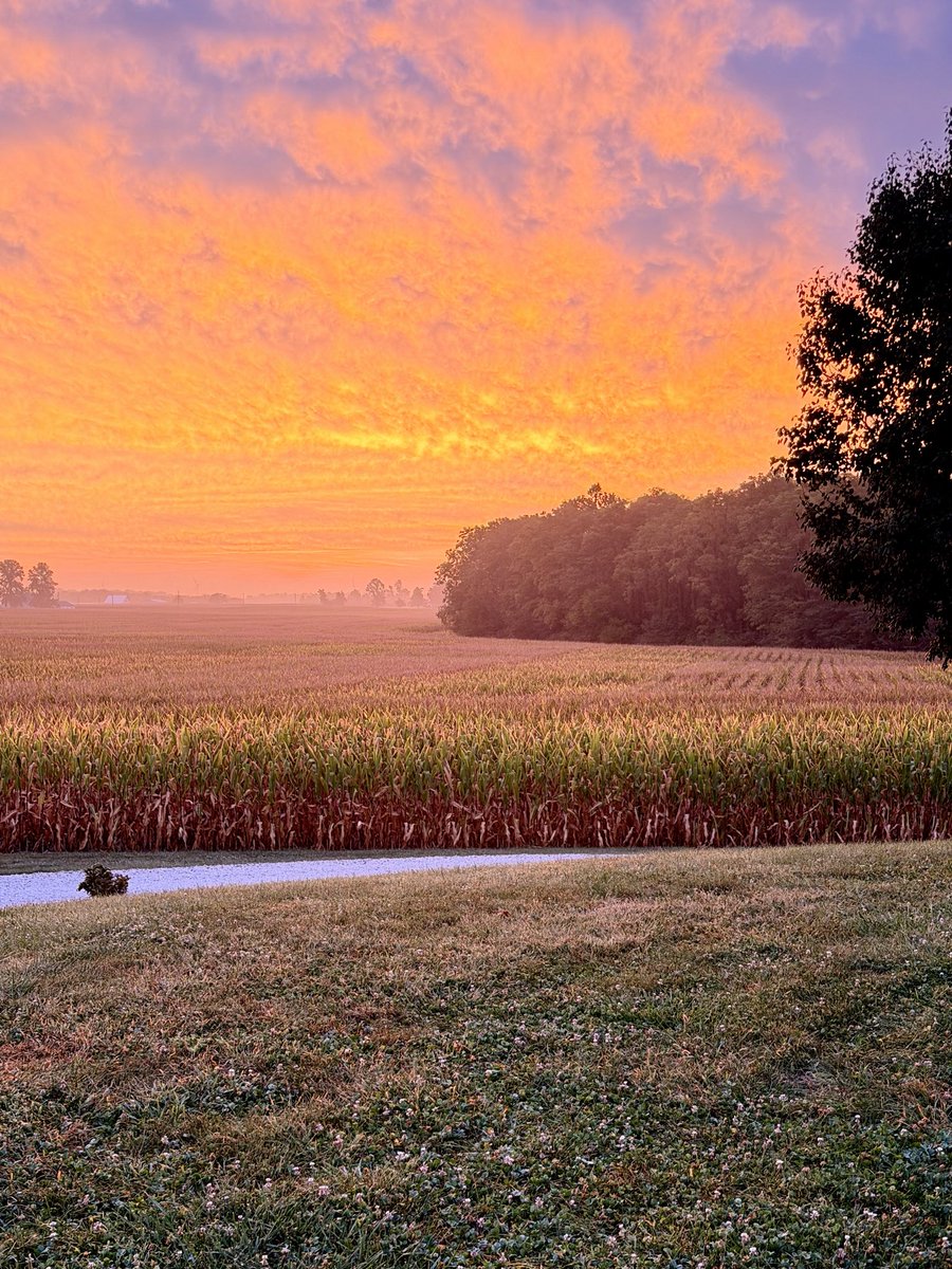 ChalFF7's tweet photo. Beautiful morning #harvest26 https://t.co/onRwCnVfFp