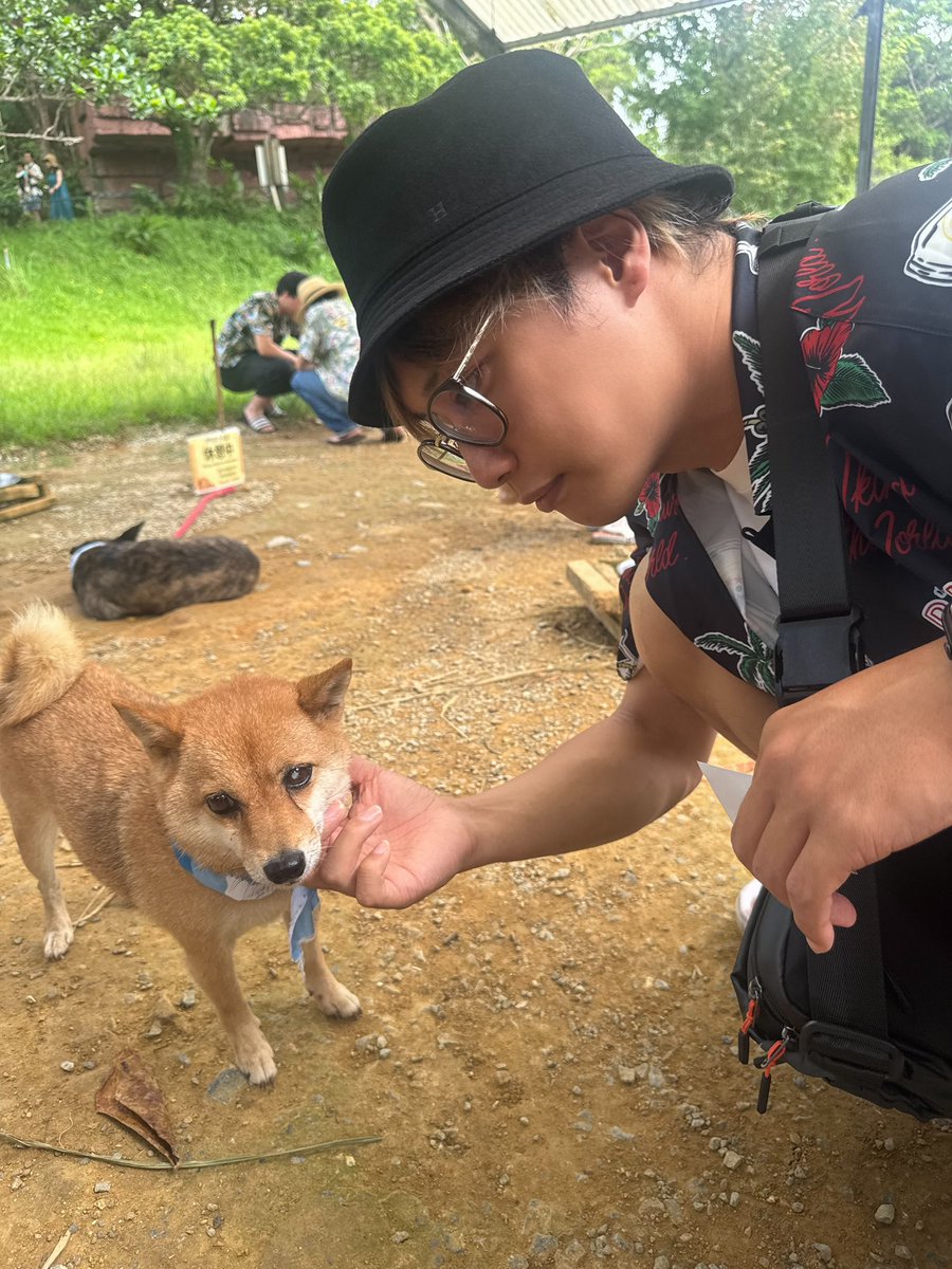 kyou_back's tweet photo. ついでに犬たちがいた https://t.co/UsQ5TGcjrX