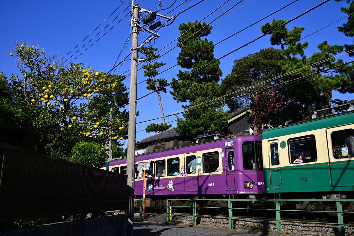 Kouno_tmf's tweet photo. 同年度に5編成も導入するとは思いもよりませんでした。

2000の新ラッピング車も収めていないので、撮影に行きたいところですが、天気が…☂️ https://t.co/O6naF41dHS