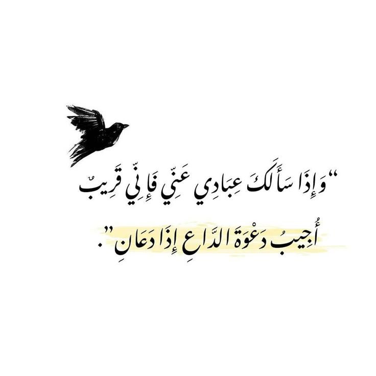 7noooSn's tweet photo. https://t.co/YwQf2ttFjP