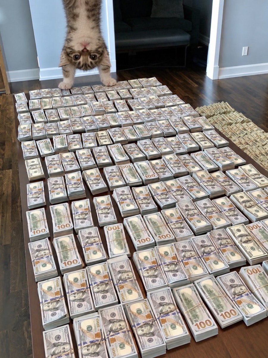 upsidedowncatSF's tweet photo. gm (ʎǝuoɯ ʇǝƃ) https://t.co/67qPDK4gs8