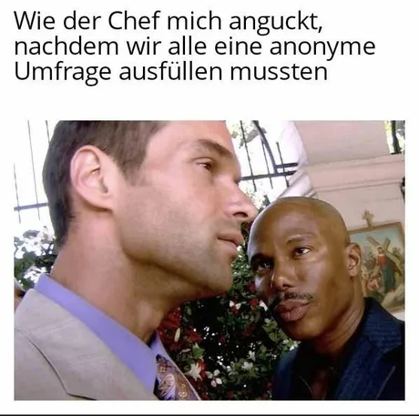 StaSiRevival's tweet photo. #Meme #Umfrage #Chef https://t.co/PTZnIUufsG