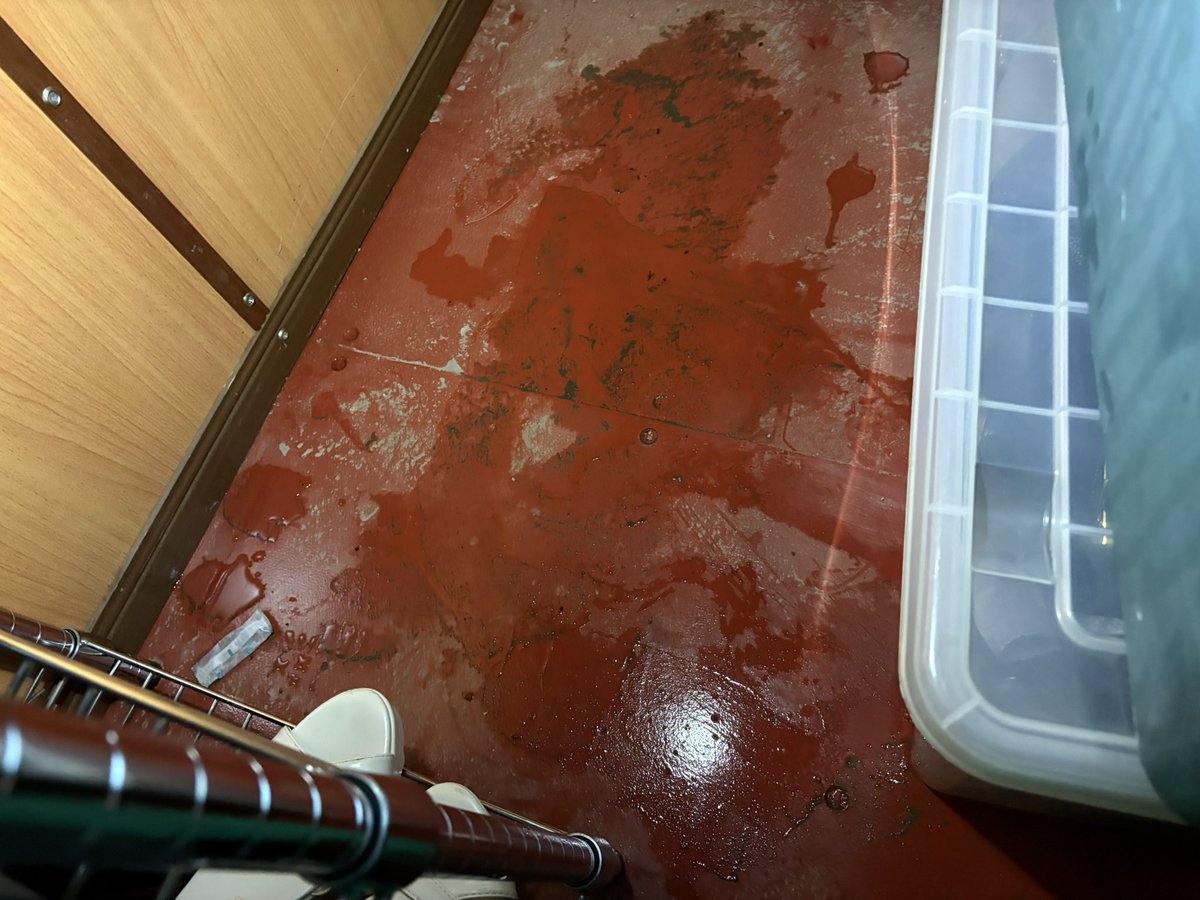toka0616's tweet photo. 今回の雨被害何も無いと思ったらメール来て
「コンテナ倉庫内で浸水が確認されました
お荷物の確認をお願いします」
なんともないやーって��に行ったら確実に2、3cm浸水や( ;꒪⌓꒪;)
特に濡れたのがケースばっかで良かったけど湿気やばいよ...(lll-ω-)ﾁｰﾝ https://t.co/40U7eHvElU