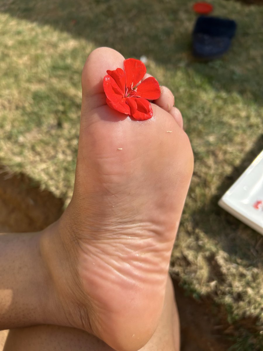 _Prettypiggies's tweet photo. A little something to make up for disappearing. 😌 https://t.co/3nOoZjqrpB