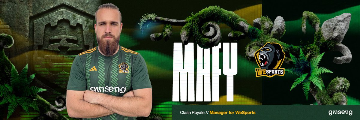 mafy_cr's tweet photo. Happy to announce that I have joined @WeSports_CR as a manager. 

Glad to be back in Clash Royale eSports after a while, looking forward to a new chapter.

Thanks for the opportunity @jonasroyale_ 

#UnleashyourWildside 🦍🦍 https://t.co/p8gCBldGxN