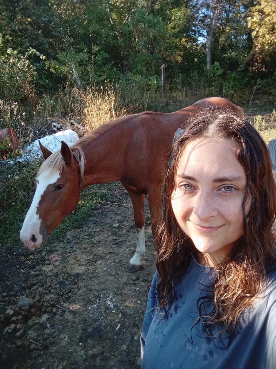 SimpleSlavGirl's tweet photo. We have such great weather right now! It's not hot, but it's not cold either. I love September! 
#horse #horses https://t.co/9gorXCR1CN