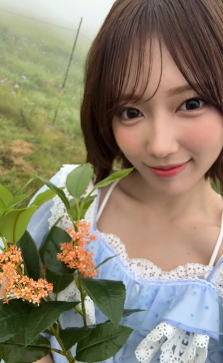 shokiRioShimizu's tweet photo. インスタ更新ありがと～
がちこの衣装好き！！
見ればみれるほど、好きになっちゃう！！
#riogram https://t.co/k7GejUpNSi