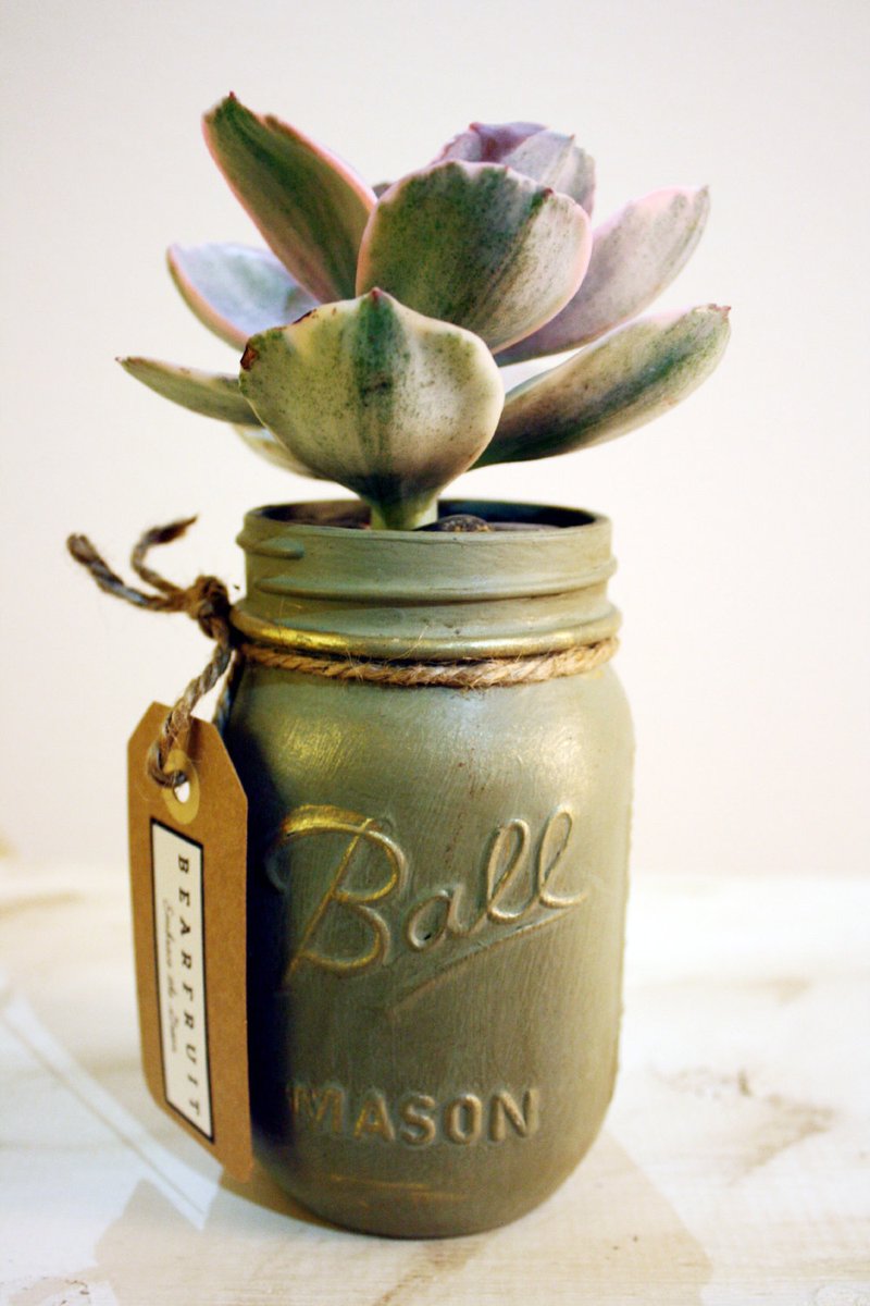 MuratOzergfbd's tweet photo. Just upcycled an old mason jar into a cute hanging planter—added some succulents from my windowsill, and now my desk has a tiny green vibe! https://t.co/Cxo20rzdVG