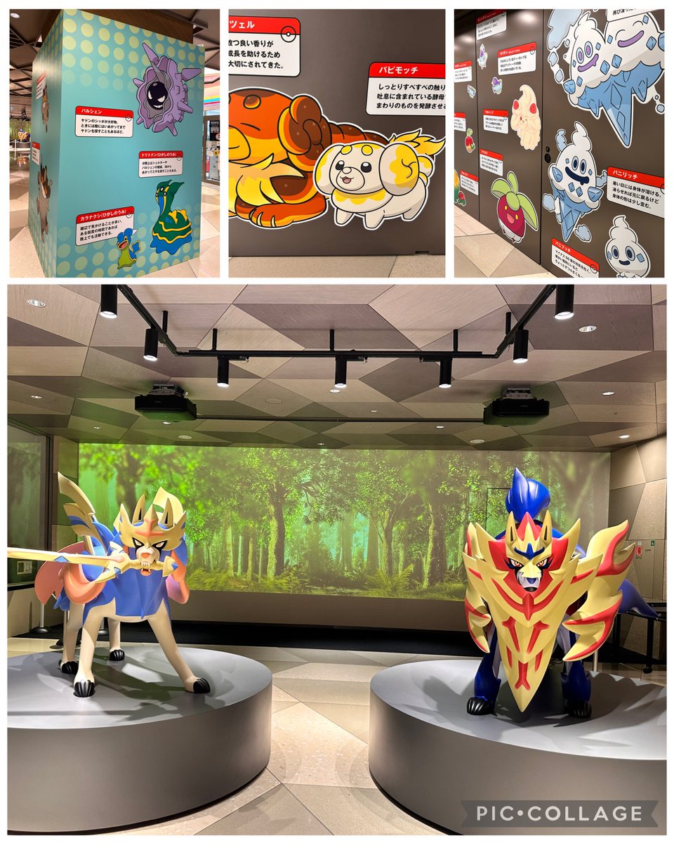 ChachaPoke2026's tweet photo. ポケモンレジェンドリサーチin 日本橋&amp;八重洲に行ってきました。すごく良かった！用事を済ませて行ったので時間がなくて東京ミッドタウンしか行けず、19体ある伝説の立体のうち8体しか会えなかったので今度は時間をしっかり取って有料の謎解きとかもやってみたいな😍 https://t.co/urLdxm0lIq