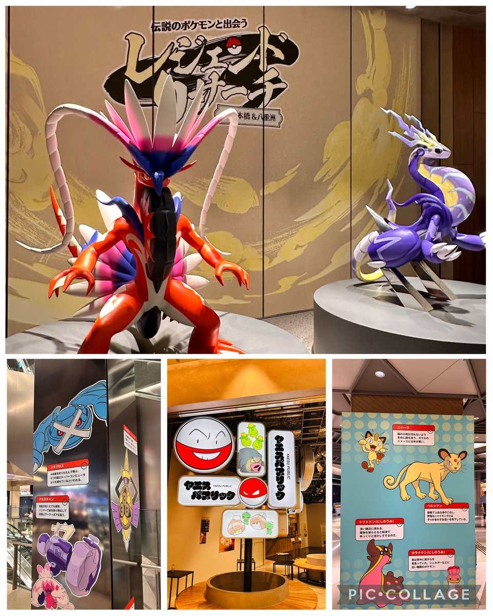 ChachaPoke2026's tweet photo. ポケモンレジェンドリサーチin 日本橋&amp;八重洲に行ってきました。すごく良かった！用事を済ませて行ったので時間がなくて東京ミッドタウンしか行けず、19体ある伝説の立体のうち8体しか会えなかったので今度は時間をしっかり取って有料の謎解きとかもやってみたいな😍 https://t.co/urLdxm0lIq