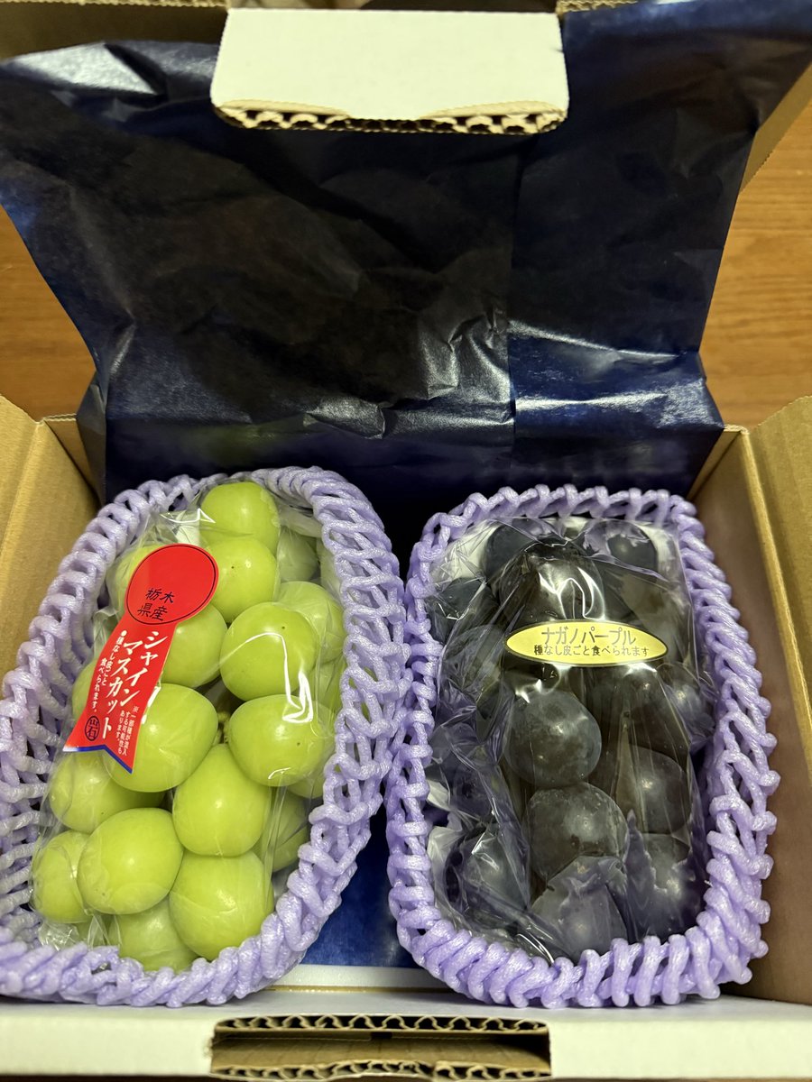 ANNKOROmochi8's tweet photo. 今年も美味しい葡萄🍇を栃木県葡萄農家様から頂きました！ありがとうございます。甘さも上品で水分量も豊かにあり葡萄の味、香りが濃くて日本の葡萄大好きです🇯🇵
日本産ワインもスーパー、各県道の駅で購入します、日本産ワインもレベル高いですよ🍷🇯🇵🍷 https://t.co/BPEIsKMefj