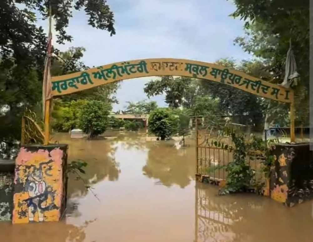 RightWingWire26's tweet photo. @SauravDassss Cherry Picking schools as per Kejriwal when the reality 👇

Government Primary School in Baupur Jadid, Sultanpur Lodhi, Punjab. https://t.co/LhJST0L6lB